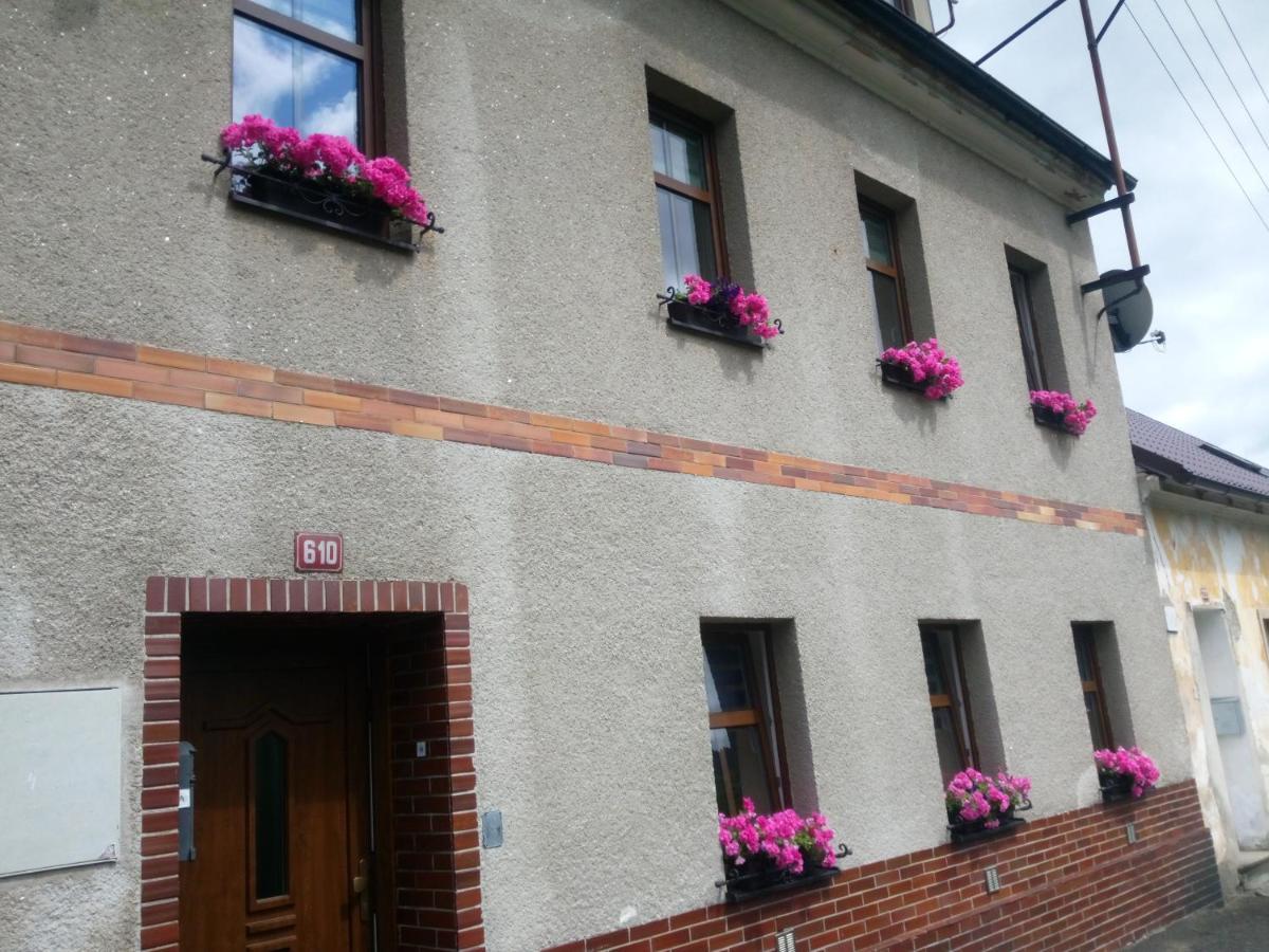 Apartmán Albreit 2 Jáchymov Esterno foto